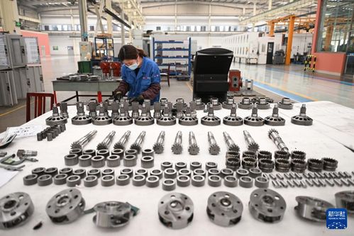 河北泊头 科技创新激活老工业基地，驱动高质量发展新引擎